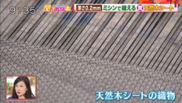 TV朝日「羽鳥慎一モーニングショー／聞きトリ」天然木シートの織物