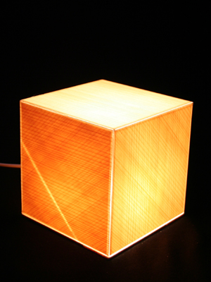 テナージュを使用した照明3（京都工芸繊維大学大学院 工芸科学研究科 デザイン科学専攻グループの修了製作）